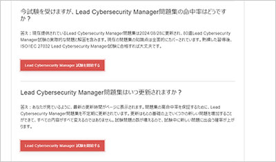 lead-cybersecurity-manager_shiken_2