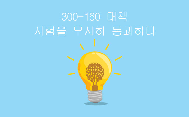  300-160대책의 유효성