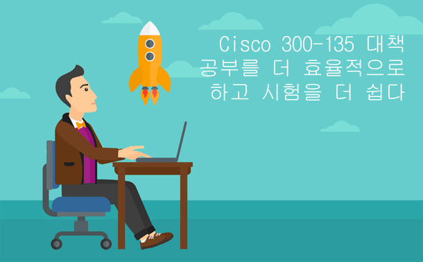 자신에게 맞는 Cisco 300-165시험대책은 시험을 무사히 통과할 수 있습니다!