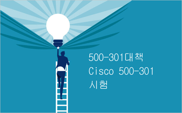500-301 대책 Cisco 500-301 시험