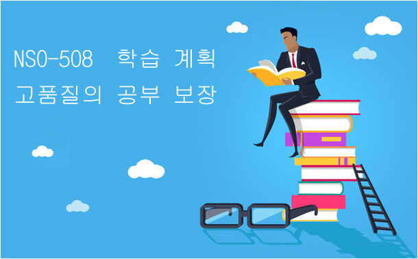 NS0-508학습 계획 고품질의 공부 보장