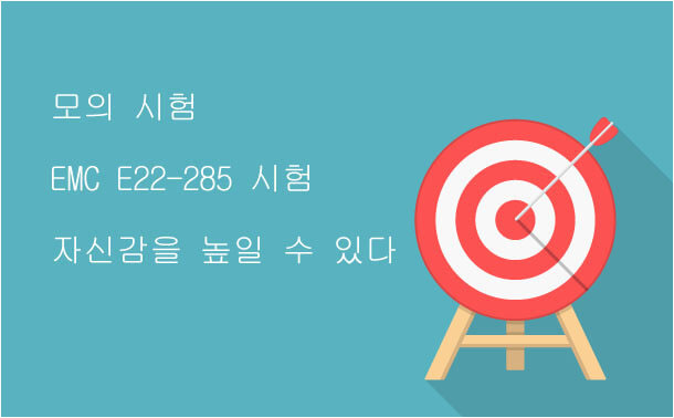 E22-285 모의 시험