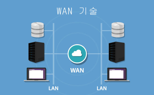 WAN 기술