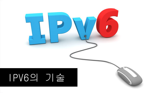 IPv6 기술