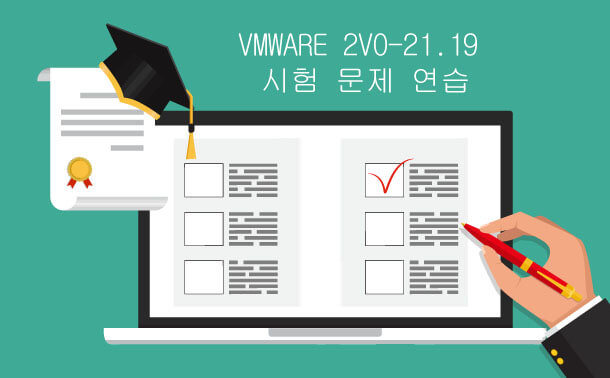 VMware 2V0-21.19 시험 문제 연습