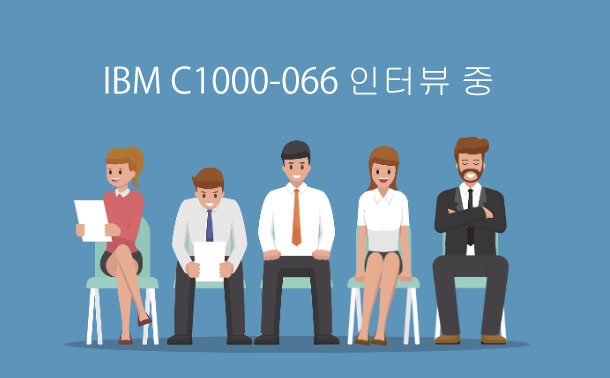 IBM C1000-066과의 인터뷰 중