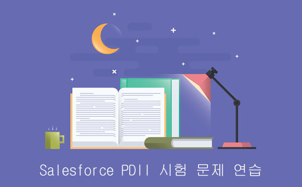 Salesforce PDII 시험 문제 연습