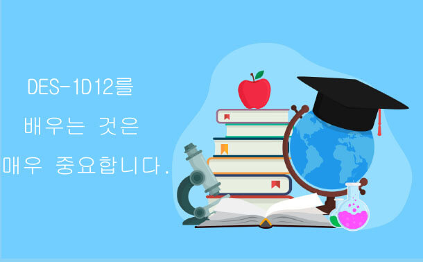 DES-1D12를 배우는 것은 매우 중요합니다.