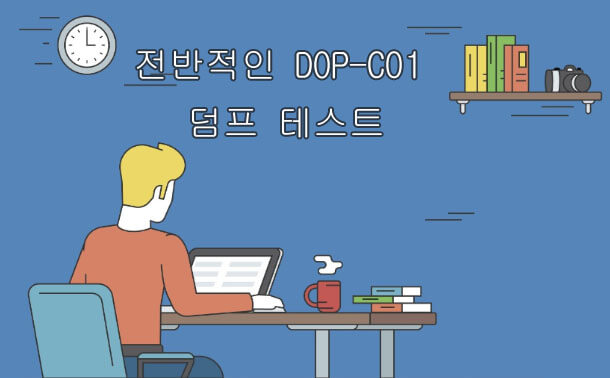 전반적인 DOP-C01 덤프 테스트