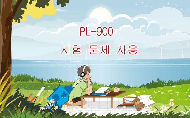 PL-900 시험 문제 사용