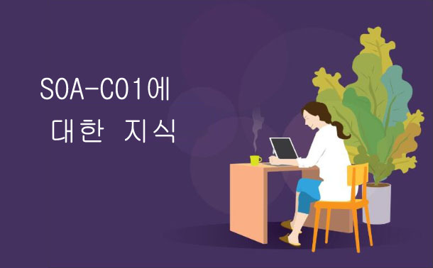 SOA-C01에 대한 지식