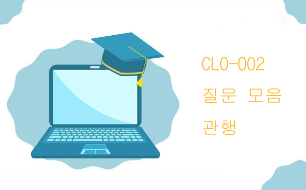 CLO-002질문 모음 관행