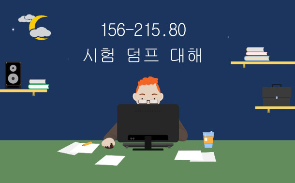  156-215.80 덤프에 대해