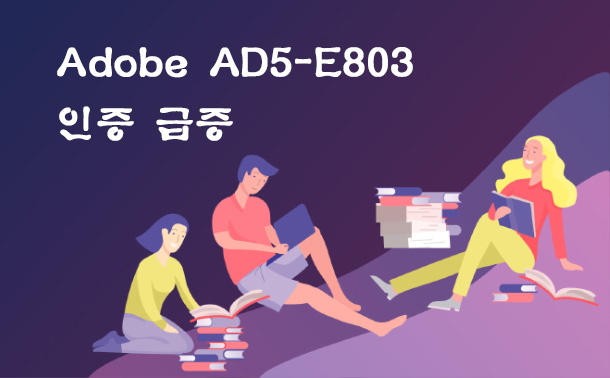 Adobe AD5-E803 인증 급증