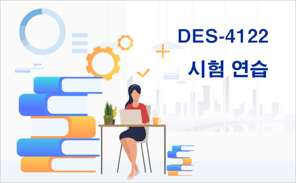 DES-4122시험 연습