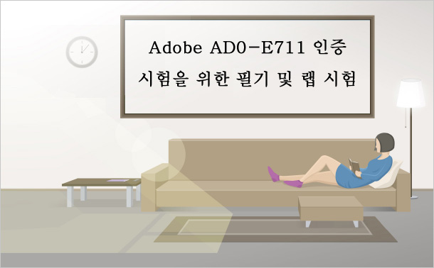 Adobe AD0-E711 인증 시험을 위한 필기 및 랩 시험