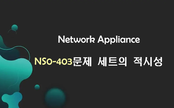 Network Appliance NS0-403문제 세트의 적시성