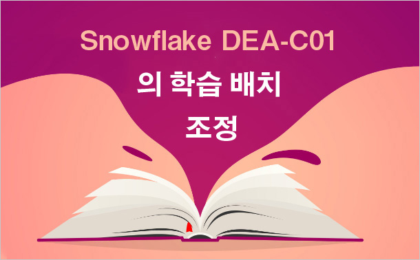 Snowflake DEA-C01의 학습 배치 조정