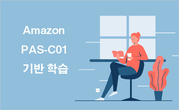 Amazon PAS-C01 기반 학습