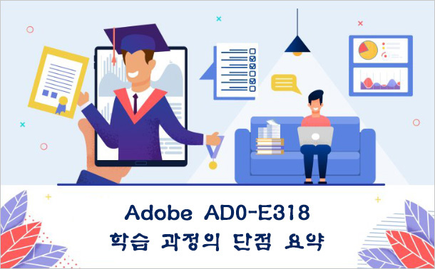 Adobe AD0-E318 학습 과정의 단점 요약