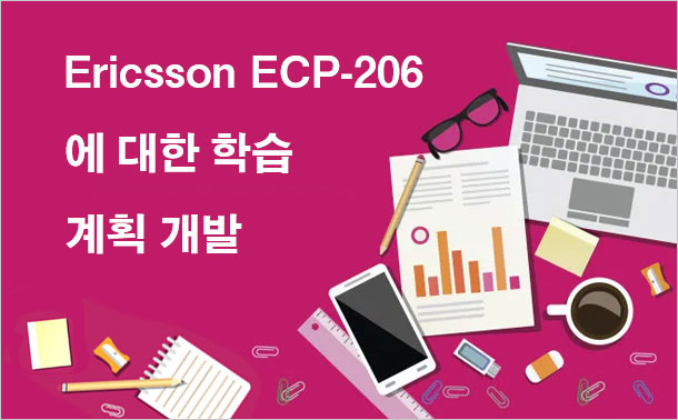 Ericsson ECP-206에 대한 학습 계획 개발