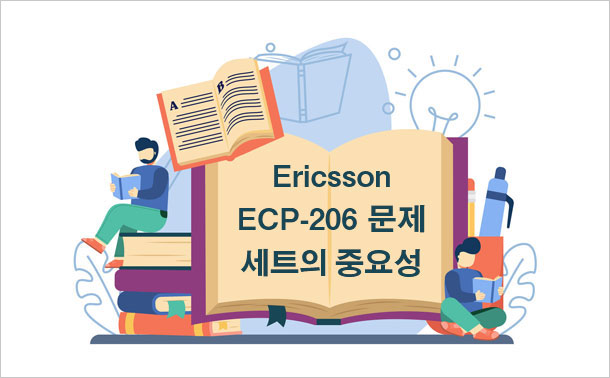 Ericsson ECP-206 문제 세트의 중요성