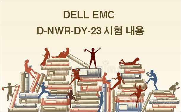 DELL EMC D-NWR-DY-23 시험 내용
