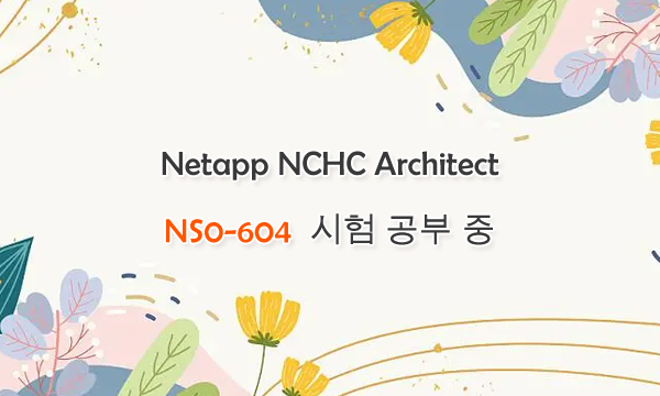 Netapp NCHC Architect NS0-604 시험 공부 중