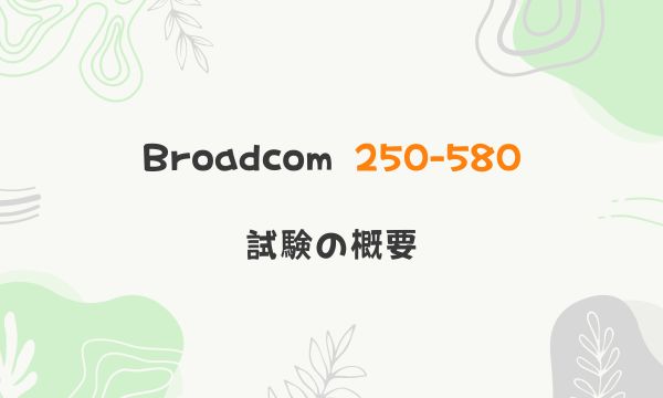 Broadcom 250-580 試験の概要